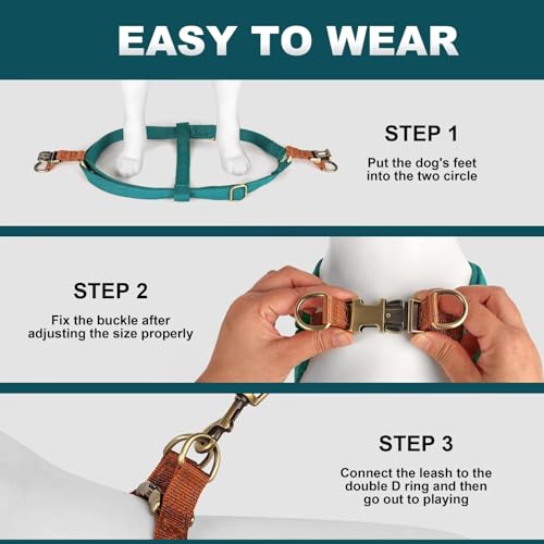 Didog Step in Dog Harness with Metal Buckles, Freedom Nylon Dog Halter Vests for Medium Dogs Easy Walking Training(M:Chest 19-28", Blue) - color: Blue, size: M: Chest 19-28", Fit 15-30 lbs