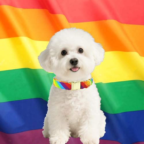 Tunkoo Rainbow Dog Collar with Metal Buckle - LGBTQ+ Pride Month, Soft Cotton Outer, Adjustable for Small/Medium/Large Dogs (Girls & Boys Pets), L - color: D - Rainbow, size: Large