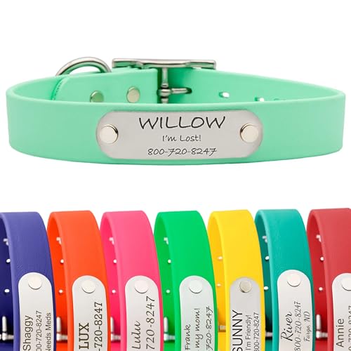 dogIDs Personalized Dog Collar – Custom Waterproof Soft-Grip Biothane with Laser-Engraved Nameplate, Durable & Odor-Resistant, USA Made | Mint, 1 in x 16 in (Fits Necks Size 14-18 in) - color: Mint, size: 1 in x 16 in (Fits Necks Size 14-18 in)