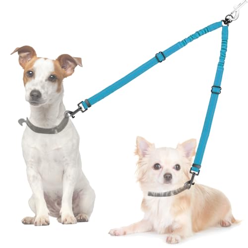 AUTOWT Double Dog Leash, No Tangle 360°Swivel Rotation Reflective Lead Attachment Adjustable Length Dual Two Dogs Lead Splitter, Comfortable Shock Absorbing Walking Training for 2 Dogs - color: Peacock Blue, size: Small（7-20lbs)