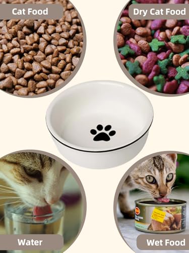 GDCZ Ceramics Raised Cat Bowls with Heighten Metal Stand,15 Ounces White - color: White