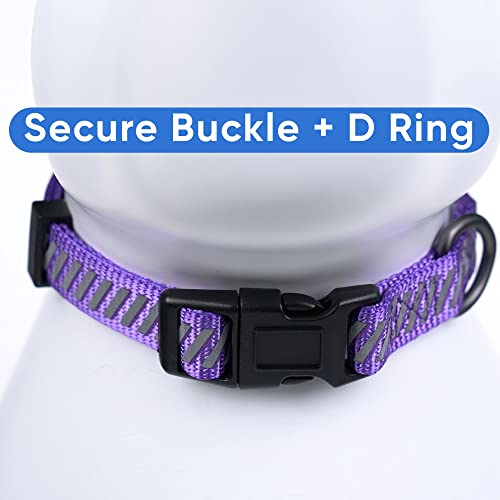 Pawtitas Reflective Dog Collar - Personalized Name & Phone Number, Adjustable for Small Dogs & Puppies - Purple - color: Customized Purple, size: X-Small (Pack of 1)