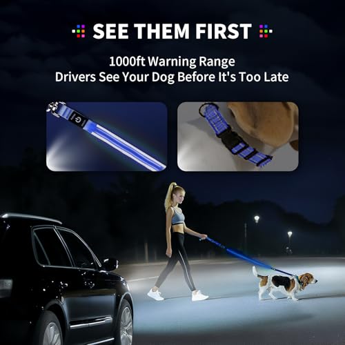 Night Walking LED Dog Leash - 6FT Reflective & Waterproof Light Up Safety Leashes for Dogs - USB Rechargeable, Blue - color: Blue(Fiber optic version)
