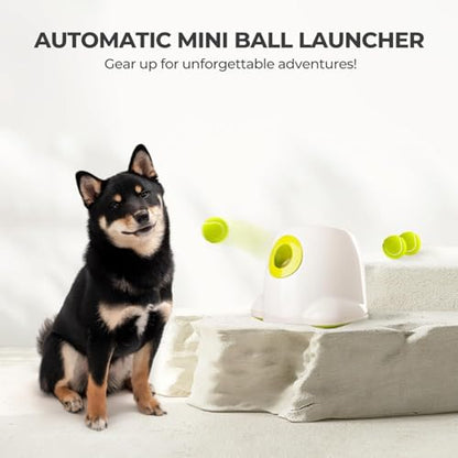 AFP Automatic Ball Launcher for Dogs, USB Rechargeable Interactive Dog Ball Thrower Machine, Auto Fetch Launcher for Small&Medium Dogs, Indoor Outdoor Puppy Play Toy, 3 Tennis Balls Included (2 Inch) - size: 2" ball launcher
