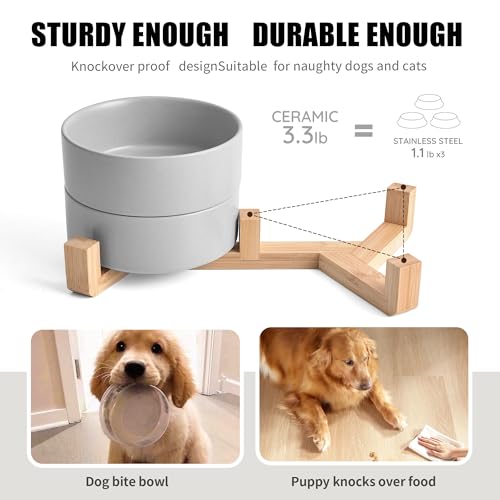 Mowtanco Grey Ceramic Dog & Cat Bowl Set – 13.5 OZ with Wooden Stand, Non-Slip, Elevated Design for Small Dogs & Cats – 2 Bowls (Food & Water, Ceramic Pet Bowls, Modern Dog Bowls) - color: Gray × 2