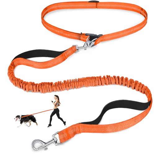 Laqibak Hands Free Dog Leash, Adjustable Waist Leash for Dog Walking, Dual Bungee 4.2-6.7 Feet Long with Reflective Stitches for Walking Hiking Running, Fits 26"- 43" Inch Waist, Orange - color: Orange
