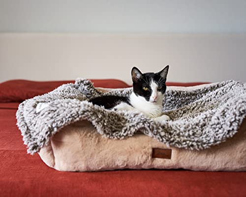 Pet Parents Pet Blanket - Water Resistant, Cat & Dog Blanket for Small, Medium & Large Dogs, 24"x32" - color: Slate, size: 24"x32"