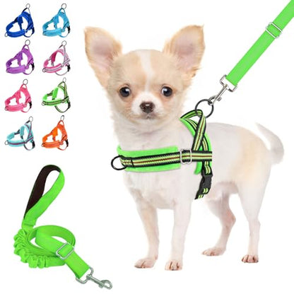 Lukovee No Pull Dog Harness and Leash Set, Soft Padded Small Dog Harness, Neck & Chest Adjustable Reflective Vest Puppy Harness with 4ft Lightweight Anti-Twist Dog Leash for Small Dogs (XXS, Green) - color: Green - with Stripe, size: XXS ( Chest 11.5'' ~