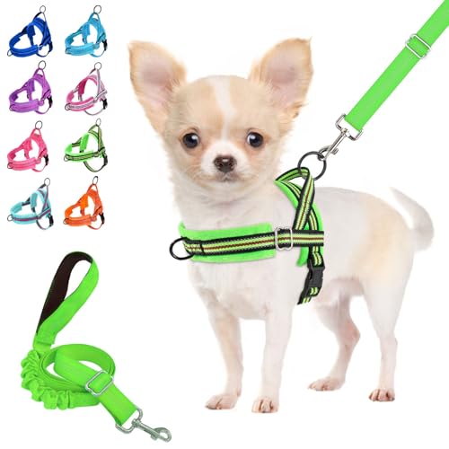 Lukovee Soft Padded Small Dog Harness (X-Small, Green) with 4ft Lightweight Leash, Adjustable Reflective Vest for Walking, Running, Hiking, Training - color: Green - with Stripe, size: XS ( Chest 14'' ~ 18'')