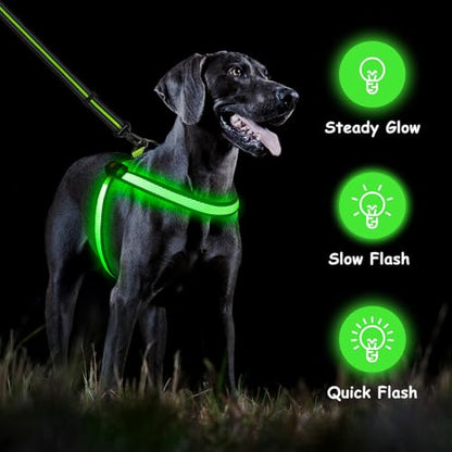 Light Up Dog Harness LED USB Rechargeable Lighted for Night Walking Adjustable Illuminated and Reflective Vest for Small Medium Large Dogs (Green, XS)