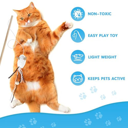 NOWFRESH Cat Wand Toy Set, 2 PCS Interactive Cat Teaser Wands with Cute Octopus & Lion Designs, Equipped with Bells and Streamers to Captivate Your Cat’s Attention - color: Octopus and Lion