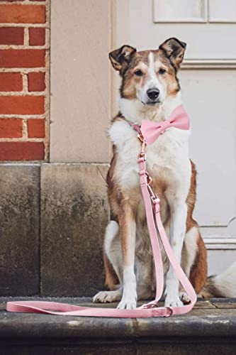 Soft Leather Bowtie Dog Collar - Adjustable Cute Bow Tie Collar [Easy to Clean] with Stylish Rose Gold Heavy Duty Metal Buckle for Small Medium Large Dogs Pink XS - color: Pink, size: XS(8"-12")