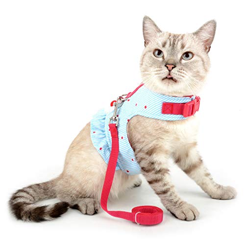 Zunea No Pull Small Dog Girl Harness Dress Escape Proof Cat Kitten Vest Harness Leash Set Step-in Soft Cotton Padded Striped and Flowers Printed Jacket Chihuahua Puppy Clothes for Walking Blue XS - color: blue daisy, size: XS (Chest:12.2-13.7", Neck:8.2-9