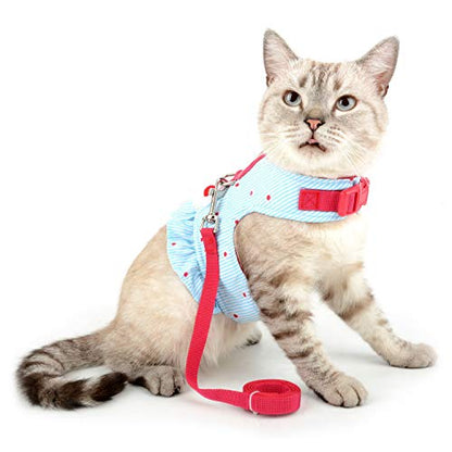 Zunea No Pull Small Dog Girl Harness Dress Escape Proof Cat Kitten Vest Harness Leash Set Step-in Soft Cotton Padded Striped and Flowers Printed Jacket Chihuahua Puppy Clothes for Walking Blue XS - color: blue daisy, size: XS (Chest:12.2-13.7", Neck:8.2-9