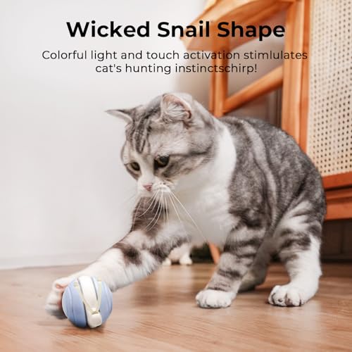 Cheerble Interactive Cat Toy for Indoor Cats, Wicked Snail Kitten Toys, Automatic Cat Toys with LED Lights, Rechargeable Moving Toys for Cats, Smart Stimulating Electric Pet Toy(Blue) - color: Blue