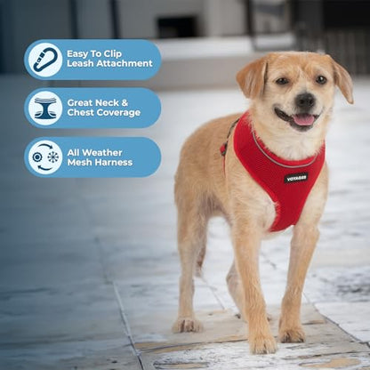 Voyager Aerolite Over The Head Dog Harness, No Pull Breathable Air Mesh Vest, Quick Dry with Reflective Stitching, Adjustable Escape Resistant Harness for Small Medium Large Dogs - Red, Medium - color: Red, size: M