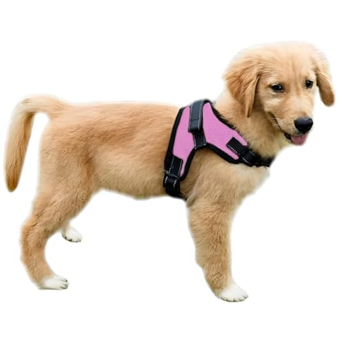 No Pull Reflective Adjustable Dog Harness With Handle- Comfortable Soft All Weather Mesh, Easy On Puppy Harness For Small Medium and Large Dogs (Pink) X-Small - color: Pink, size: X-Small