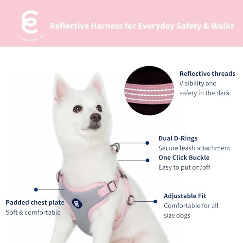 Blueberry Pet Essentials Back to Basics Reflective Dog Harness Vest, Candy Pink, Large, Adjustable Harnesses for Dogs - color: Candy Pink, size: Large (Pack of 1)