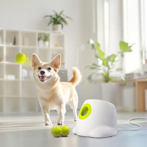 AFP Automatic Ball Launcher for Dogs, USB Rechargeable Interactive Dog Ball Thrower Machine, Auto Fetch Launcher for Small&Medium Dogs, Indoor Outdoor Puppy Play Toy, 3 Tennis Balls Included (2 Inch) - size: 2" ball launcher
