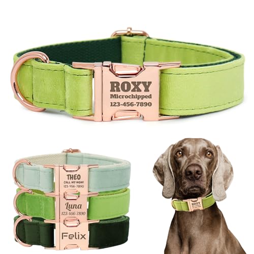 Personalized Velvet Dog Collar with Name - Custom Engraved Buckle, Adjustable Luxury Velvet Collar for Small Medium Large Dogs (Avocado Green, L) - color: Avocado Green, size: L
