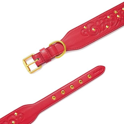 Blueberry Pet Premium Embossed Red Glam Silver-Powered Freshness Microfiber Leather Dog Collar with Gold Studs - color: Red, size: Medium