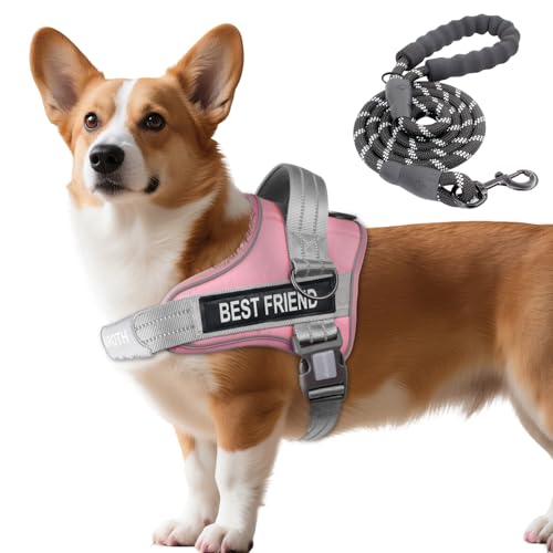 AUROTH Dog Harness and Leash Set, Soft Padded Service Dog Vest with 5.25FT Dog Leash, No Choke, Easy On Pet Vest, Adjustable Reflective No Pull Dog Harness Small Sized Dog, Easy Walking and Training - color: Pink, size: Small