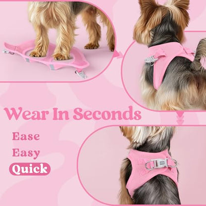rabbitgoo Small Dog Harness, Step-in Soft Mesh Puppy Vest with Safety Buckle, Breathable Reflective Pet Harness for Extra Small Dogs, Light Pink XXXS - color: Light Pink, size: Xxxs(chest:10.8"-11.8")