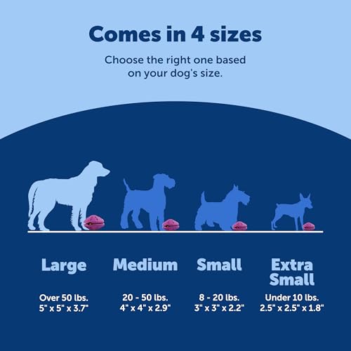 PetSafe Busy Buddy Twist 'n Treat Dispensing Dog Toy - Large - size: Large (Pack of 1)
