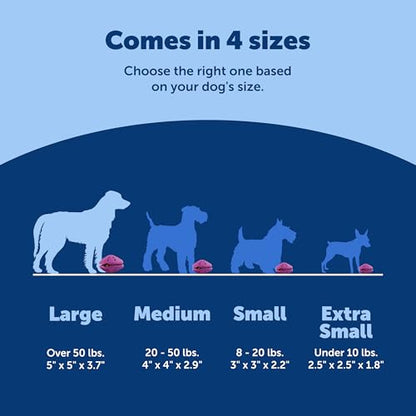 PetSafe Busy Buddy Twist 'n Treat Dispensing Dog Toy - Large - size: Large (Pack of 1)