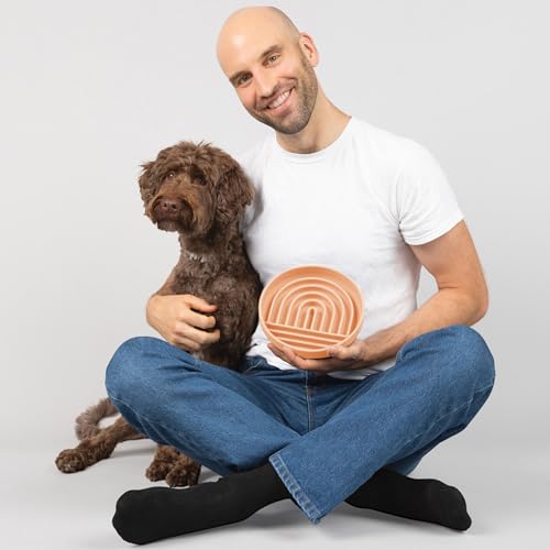 Should We Go? Slow Feeder for Dogs & Puppies, The Slowdown Bowl Silicone Slow Eating, Modern Lick Mat Design, Reduces Gulping, Fits 2 Cups, 7.5” Across x 1.5” Tall, Mealtime Challenge, Medium-Blush - color: Blush - Rainbow Design, size: Medium (7.5” Acros