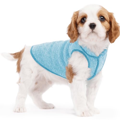 Goldpaw Dog Sun Shirt with UV Protection - Lightweight, Cooling Sun Protection Clothing for Small Dogs - Reduce Heat Absorption - Made in The USA - Machine Washable - Ocean Blue - Size 4 - color: Ocean Blue, size: 4