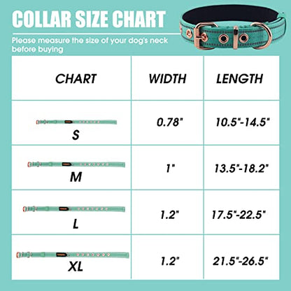 Neoprene Padded Dog Collar, Nylon Collar for Small to Large Dogs, Heavy Duty with Metal Buckle, Reflective(Medium, Teal) - color: Teal, size: Medium (Pack of 1)