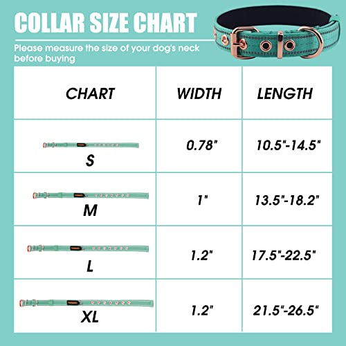 Neoprene Padded Dog Collar, Nylon Collar for Small to Large Dogs, Heavy Duty with Metal Buckle, Reflective(Small, Teal) - color: Teal, size: Small(Pack of 1)