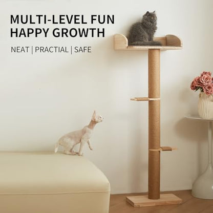 Cat Window Perch with Tall Scratching Posts, Inside 48 in Tall Climbing Tree Hammmock Mounted with Suction Cups for Climbing, Bird Watching, and Play, Supports 45 lbs