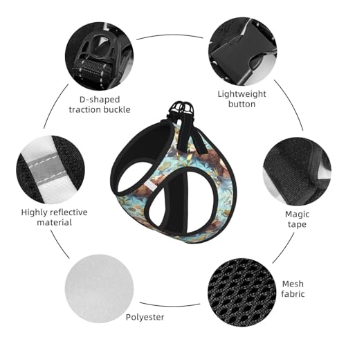 Otter Pet Harness Escape Proof Dog Harness Adjustable Mesh Padded Reflective Dog Vest Harness and Leash Set Small - color: Style 6, size: Small