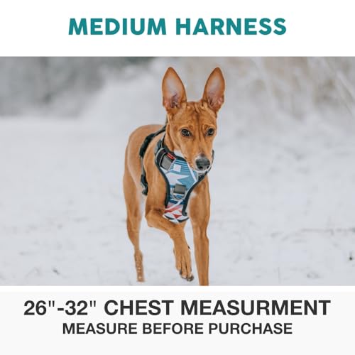 Embark Adventure Medium Dog Harness – No-Pull, Reflective Trim, Military-Grade Nylon, Front Clip with Gel-Lined Handle - color: Maverick, size: M