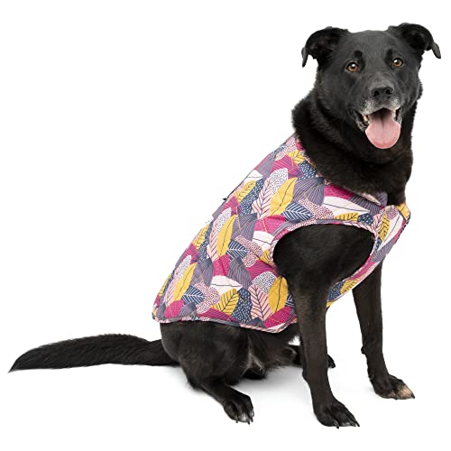 Kurgo Loft Dog Jacket - Reversible Cozy Coat for Outdoor Adventures - Water Resistant - Athletic Fit - Machine Washable Fabric - Reflective Dog Gear - X-Small - Fall Festival - color: Fall Festival, size: Extra Small