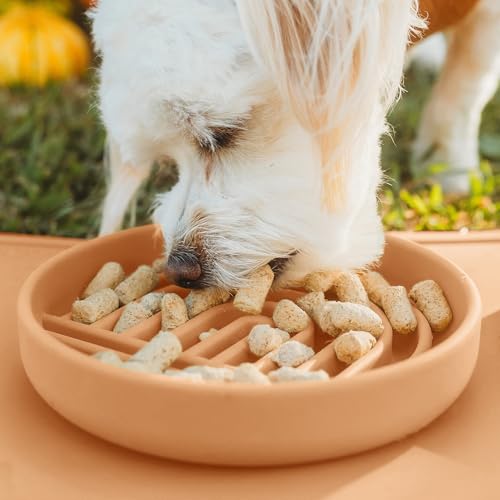 Should We Go? Slow Feeder for Dogs & Cats, The Slowdown Bowl Silicone Slow Eating Mealtime Solution with Modern Lick Mat Design, Reduces Gulping, Fits 1 Cup, 6” Across x 1.25” Tall, Small-Terracotta - color: Terracotta, size: Small (6” Across x 1.25” Tall