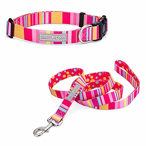 Lucky Love Dog - Easy Click Buckle Dog Collar with Leash Set Combo, Durable & Comfortable for Male & Female Dogs, Pet Collar for Small Dogs, Secure Fit - Molly Combo, Extra Small - color: Molly Collar/Leash Combo, size: X-Small | 7-11"