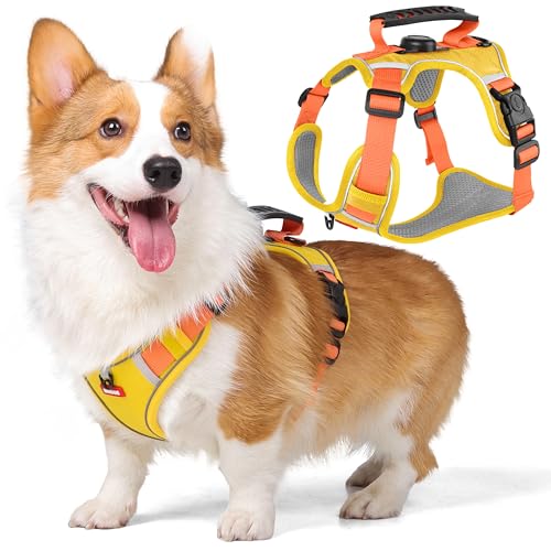 Dog Harness No Pull with GPS Tracker Pocket, 2 Adjustable Leash Clips, Breathable Soft Padded, Reflective, No Choke Pet Vest Harness with Control Handle for Large Dogs, Pineapple Yellow, L - size: L