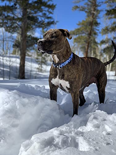 Camo Dog Collar (Small, Blue) - color: Blue, size: Small (Pack of 1)