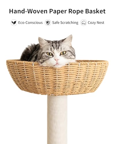 Wood Cat Tree for Large Cat, 57-Inch Tall Cat Tower with Scratching Post for Indoor Cats, Multi-Level Cat Condo with Hand-Woven Cat Bed and Hammock Acrylic Bowl Easy to Clean (DC888) - color: Nature DC888