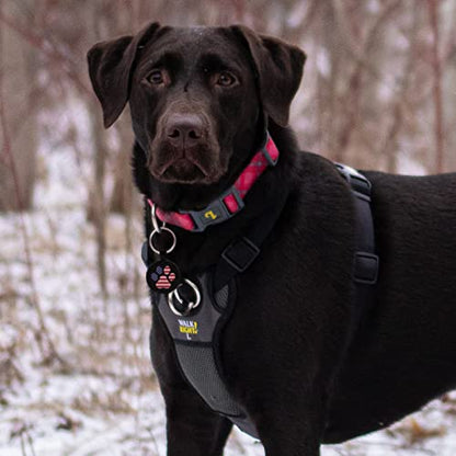 QR Code Pet ID | Personalized Dog & Cat Collar Tag | Online Profile with Instant Scanned Location Alert Email - style: USA Patriot
