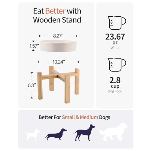8.26 in White Dog Bowl Slow Feeder Ceramic for Medium and Large Breed, Elevated/Raised Slow Feeding Dog Food Water Dish Heavy Weighted,Puppy Dish for Fast Eaters,Puzzle Eating Bowl Modern Maze - color: Upgraded White Slow Feeder Elevated