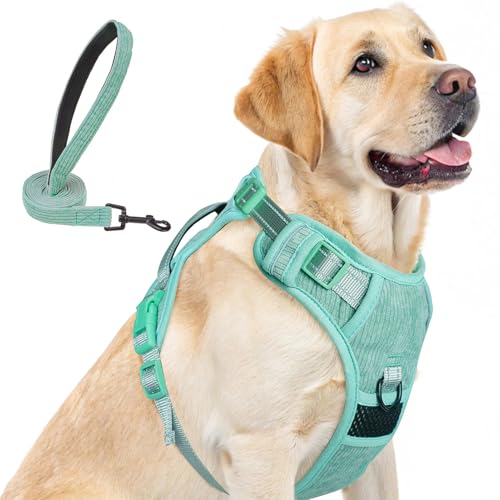 BEAUTYZOO No Pull Dog Harness, Adjustable Dog Harness and Leash Set -Easy Wearing with 3 Buckles/Control Handle,No Choke Soft Padded Reflective Pet Vest for Training Walking Hiking,Solid Aqua Blue L - color: Solid Aqua Blue, size: L: chest 22"-33"