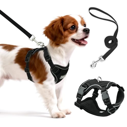 Small Dog Harness and Leash Set, Reflective Soft Breathable Mesh Vest, 3 Buckles, Adjustable Neck and Chest,Step in Dog Harness for Walking, Running, Training, Black, M - color: Black, size: Medium