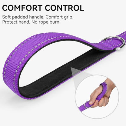 Joytale Dog Leash, 4 FT Double-Sided Reflective, Padded Handle Nylon Heavy Duty Leashes for Small Dogs Walking, Purple - color: Purple, size: 4 ft Narrow