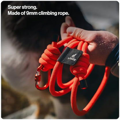 Säker Trust™ Rope Dog Leash – 61” Climbing Rope Lead with 7075 Aluminum Carabiner, Waterproof & Reflective Training Gear for Dogs, Built for Trail Running, Hiking, Everyday Use – Teal - color: Skeena Teal
