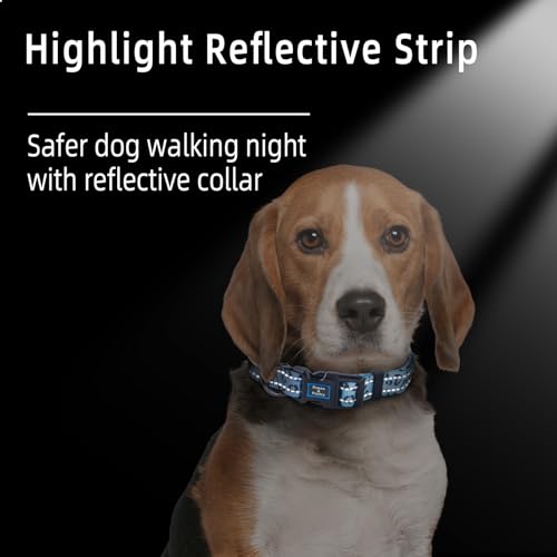 Roses&Poetry Small Dog Collar, Cute Leopard Style Adjustable Reflective Puppy Collars Durable Pet Collars for Small Medium Large Dogs(Azure-Leopard S) - color: Azure-Leopard, size: S