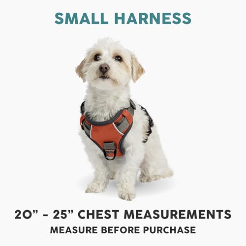 Embark Adventure Small Dog Harness – No-Pull, Reflective Trim, Military-Grade Nylon, Front Clip with Gel-Lined Handle - color: Orange, size: S